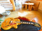 Epiphone Joe Pass Cap Gibson Korea 2006