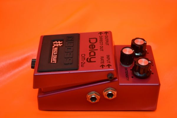 Boss Dm2w Waza Craft Delay